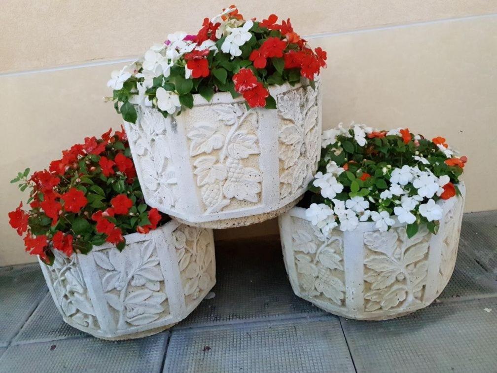 Анси Pomorie Luaran gambar